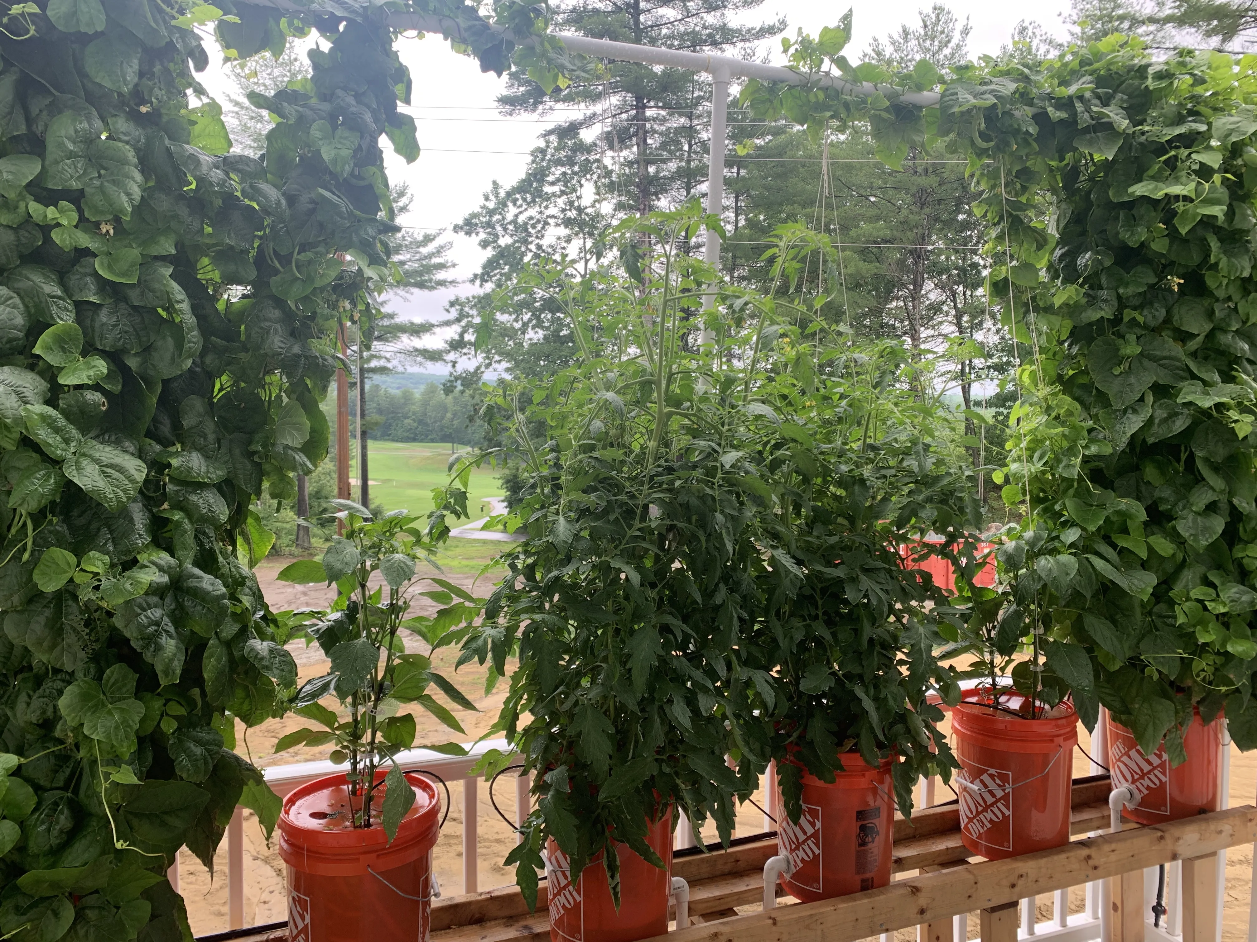 Home Depot Hydroponics